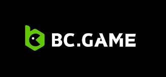 Understanding BC.Game Payments Methods, Security, and Convenience
